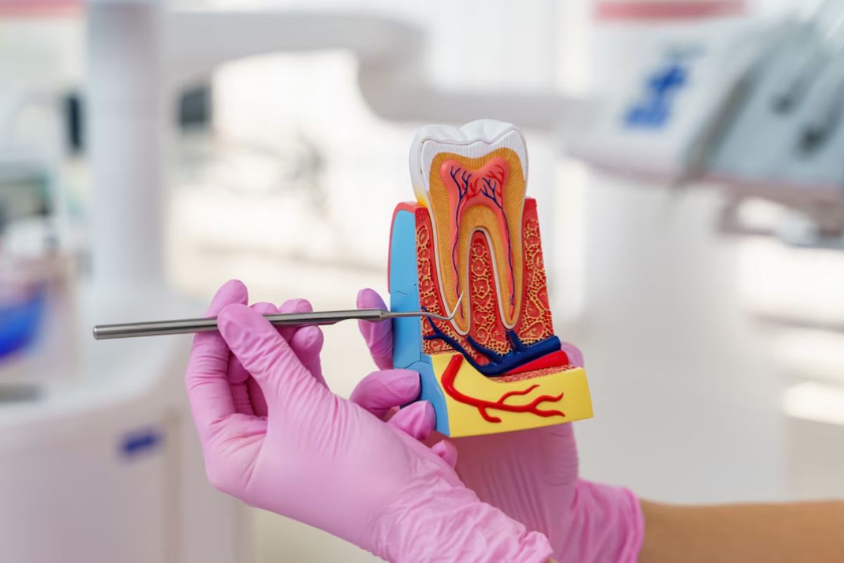 Featured image for “Worried About a Root Canal? Let’s Clear Up the Confusion”